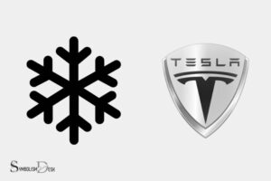 What Does Snowflake Symbol on Tesla Mean: Efficiency!