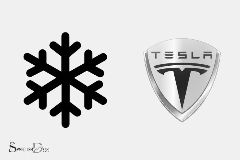 what does snowflake symbol on tesla mean