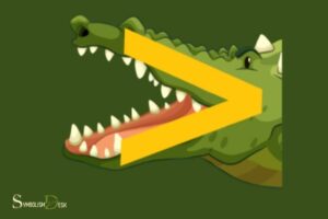 What Does the Crocodile Symbol Mean in Maths? Expressions!