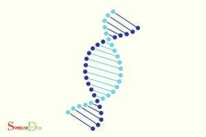 What Does the DNA Symbol Mean on Ancestry? Genetic Roots