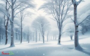 What Is the Symbolic Meaning of Snow? Silence!