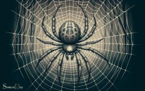 What Is the Symbolic Meaning of a Spider? Patience!