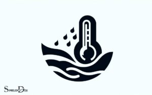 Thermometer in Water Car Symbol: Cooling System!