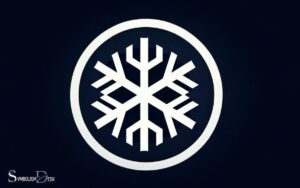 What Is the Snowflake Symbol in a Car? Temperature!