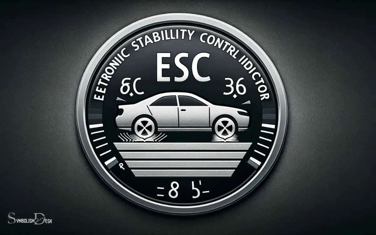 Demystifying the Electronic Stability Control ESC Indicator