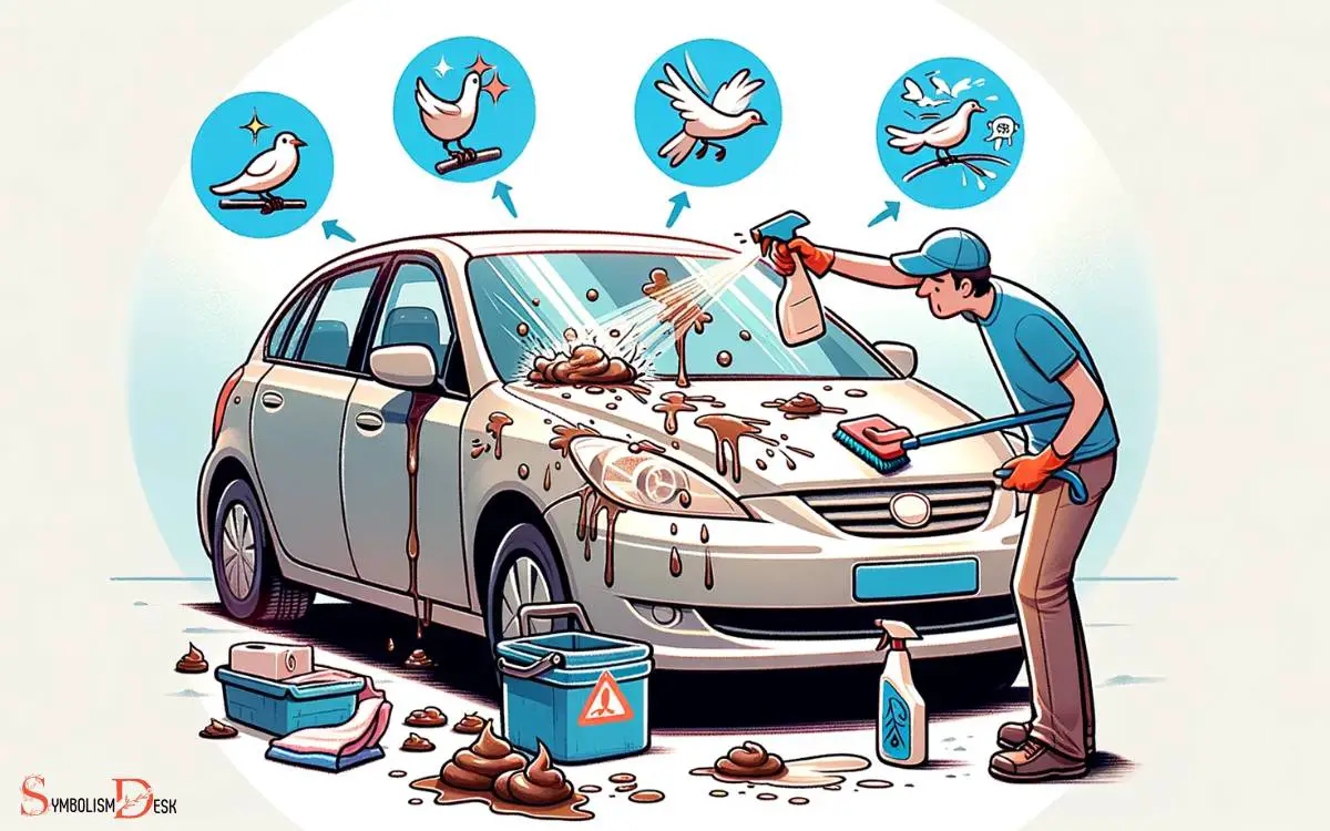 Practical Tips for Dealing With Bird Poop